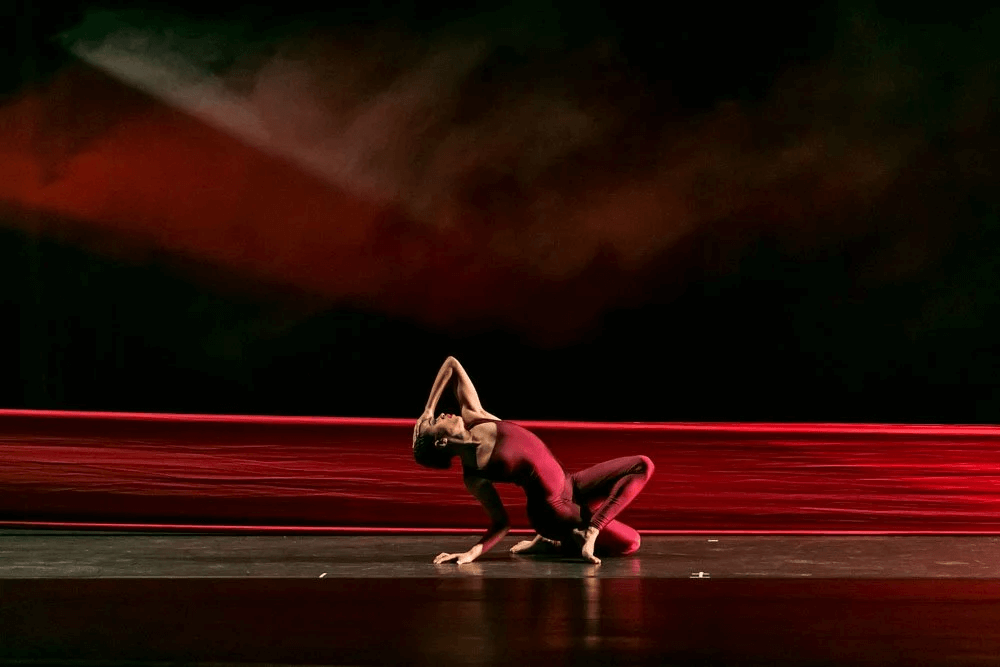 THE DANCING IMAGE – SHAREN BRADFORD